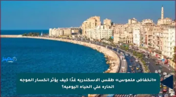 «انخفاض ملموس» طقس الاسكندرية غدًا كيف يؤثر انكسار الموجة الحارة على الحياة اليومية؟